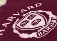 画像3: 70’s Championフロッキープリント" HARVARD"Univ. Sweat Shirt (3)