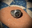 画像3: ~1940’s WW2 USAAF(US ARMY AIR FORCE) Silver Ring