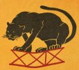 画像4: 70’s~ Champion Black Panther Print Ringer T
