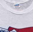 画像2: 70’s Champion 染み込みプリント T-Shirt (XL)