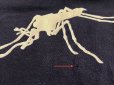 画像6: 70’s Champion " Mosquito" Print Tee (両面プリント入り)