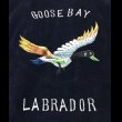 画像7: 50’s Goose Bay Labrador Souvenir Jacket (7)