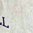 画像8: 80’s Champion "Stonehill College" Reverse Weave Sweat Shirt (Large) (8)
