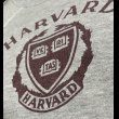 画像2: 70’s〜Champion "HARVARD" Sweat Shirt (2)