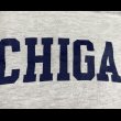 画像2: 90’s Champion Michigan T Shirt (Large) (2)