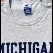 画像3: 90’s Champion Michigan T Shirt (Large) (3)