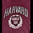 画像3: TULTEX HARVARD Univ Sweat Shirt (Large) (3)