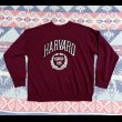 画像2: TULTEX HARVARD Univ Sweat Shirt (Large) (2)