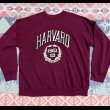 画像1: TULTEX HARVARD Univ Sweat Shirt (Large) (1)