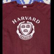 画像2: 80’s Champion HARVARD Sweat Shirt (2)