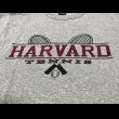 画像2: 90’s Champion "HARVARD" Univ. 霜降りT シャツ (M) (2)