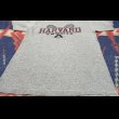 画像4: 90’s Champion "HARVARD" Univ. 霜降りT シャツ (M) (4)