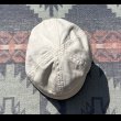 画像6: Circa 1940’s U.S. Naval Academy(USNA) Plebes Trim Hat (6)