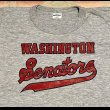 画像2: 80’s~NOS EASTPORT製 霜降りT Shirt(WASHINGTON SENATORS) (2)