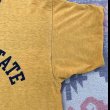 画像7: 70’s Champion バータグ 4段プリント入り ダブルフェース Tee (7)