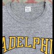画像2: 80’s  Champion Adelphi University 霜降り88/12 Tee (2)